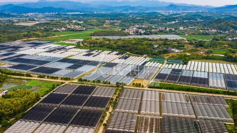 四川农业种植技术推广站：精准定位，高效服务指南